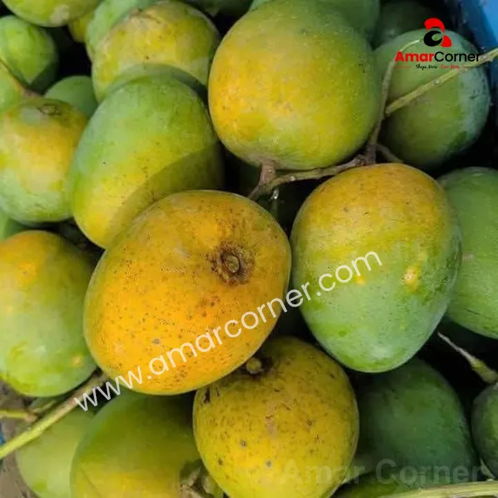 cmq88p3qv00092ag31zugo85q